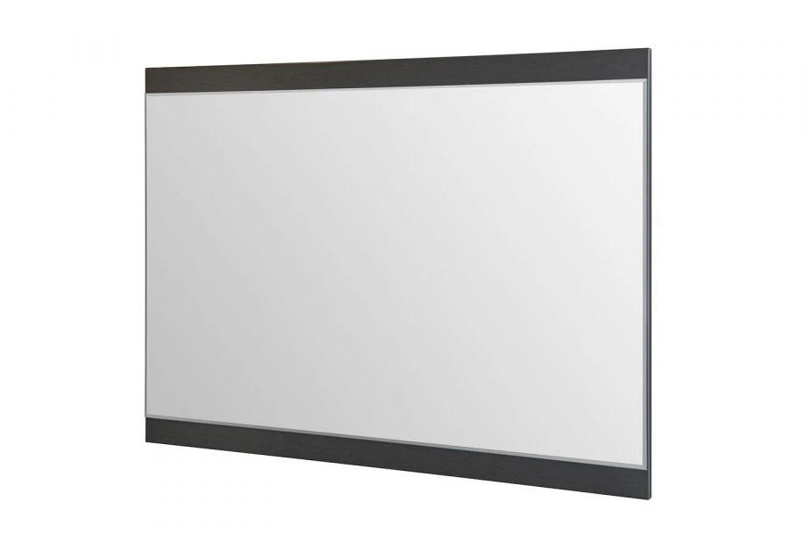 Panel with mirror