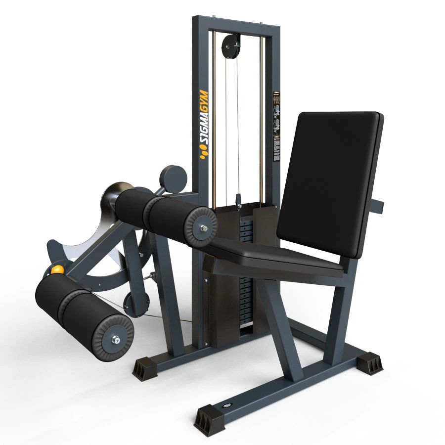 BF-139.1 Hip flexor - hip extensor (sitting)