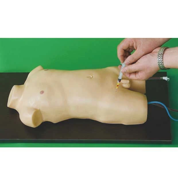 Children's training model of femoral vein and artery puncture, H3218