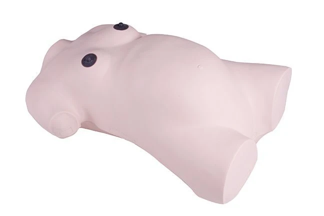 Maternity exam preparation model, GP6630