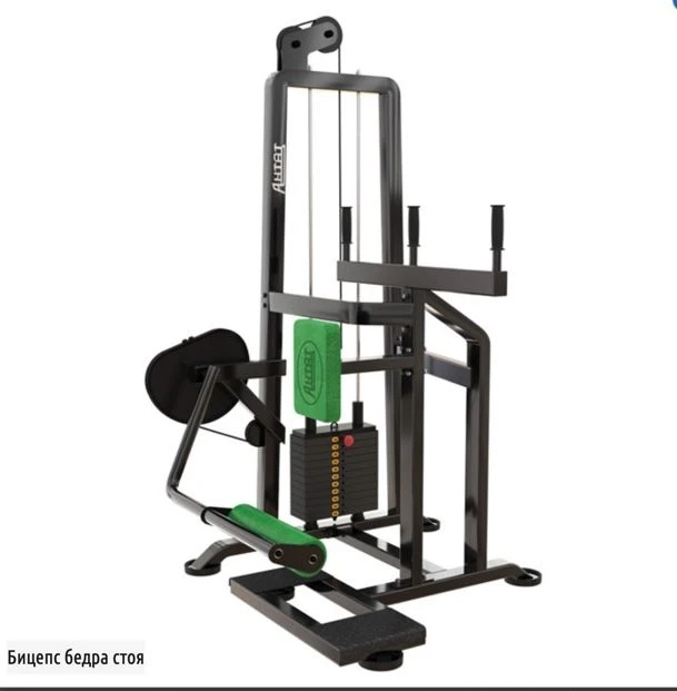 Standing Biceps Hip Deadlift