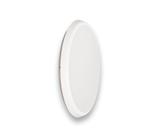 Luminaires for emergency lighting DBO88 series
