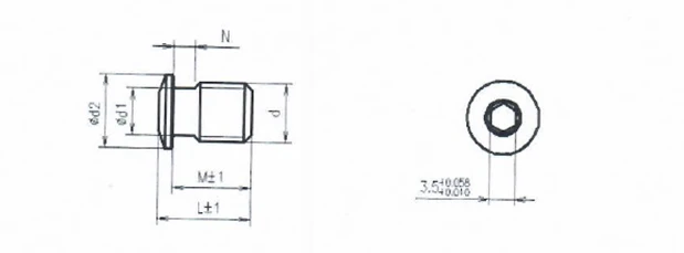 Blanking screw titanium alloy M10 20mm