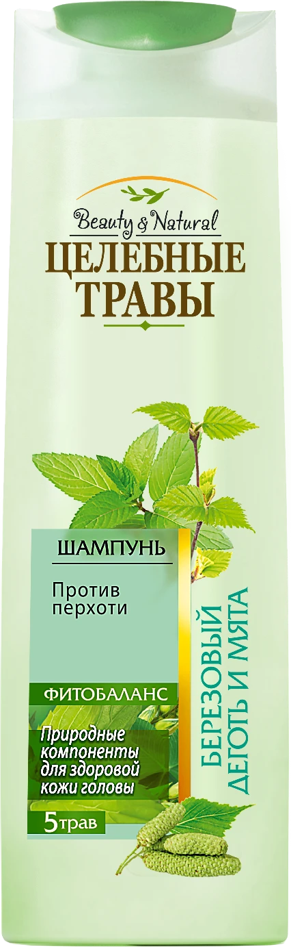 Healing Herbal Shampoo with Birch Tar and Mint