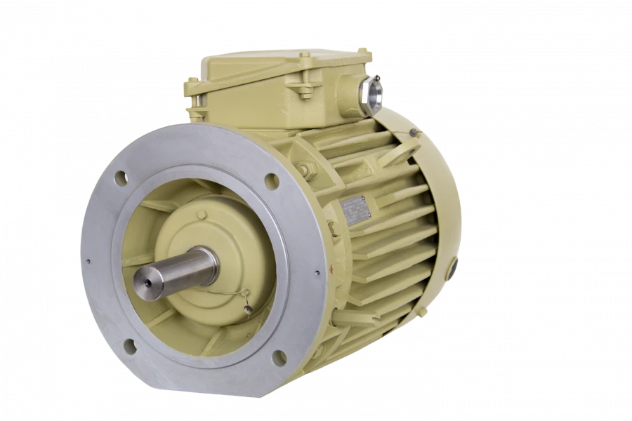 Three-phase asynchronous motors DM160, DMN160 (11-18,5 kW)