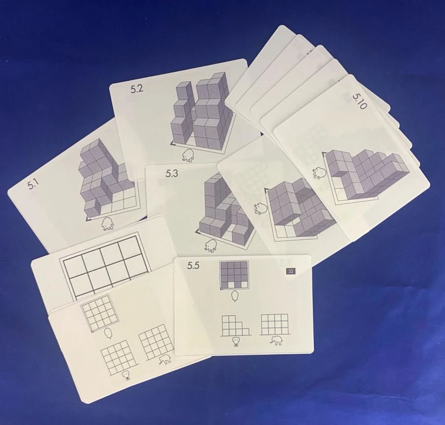 Task cards for unpainted wooden cubes #5