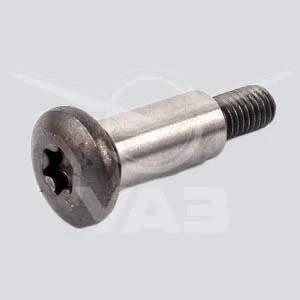 BOLT OF TENSIONER LEVER 406.1006098-20