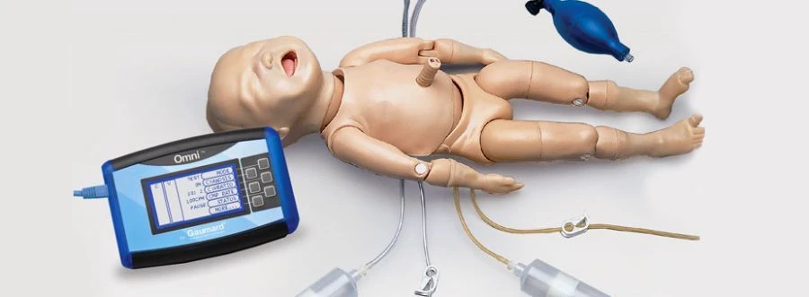 Model of premature foetus (24 weeks) PS6604