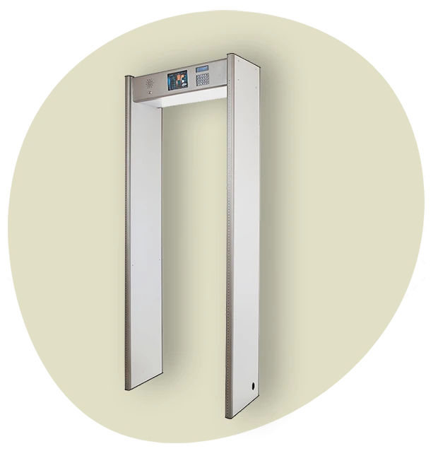 Stationary metal detector MasterDetect Z