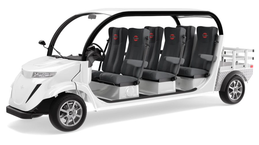 Electric car "Elekar 5E-TIGARBO" 6G