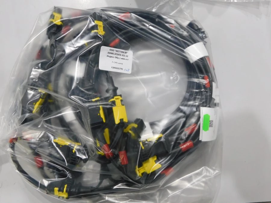 P-CAN bus AMFE.372470.310-22