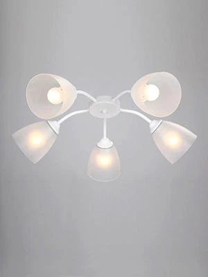 General purpose fixed luminaire V37610/5PL