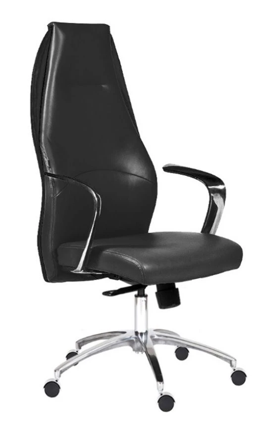 Armchair model Echair 554