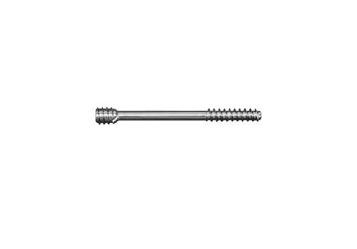 Cylindrical threaded cannulated screw