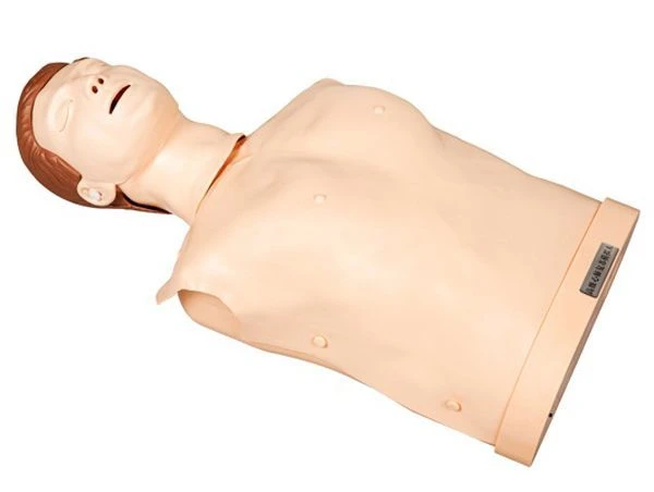 Basic mannequin (torso) for CPR, ROST-CPR190