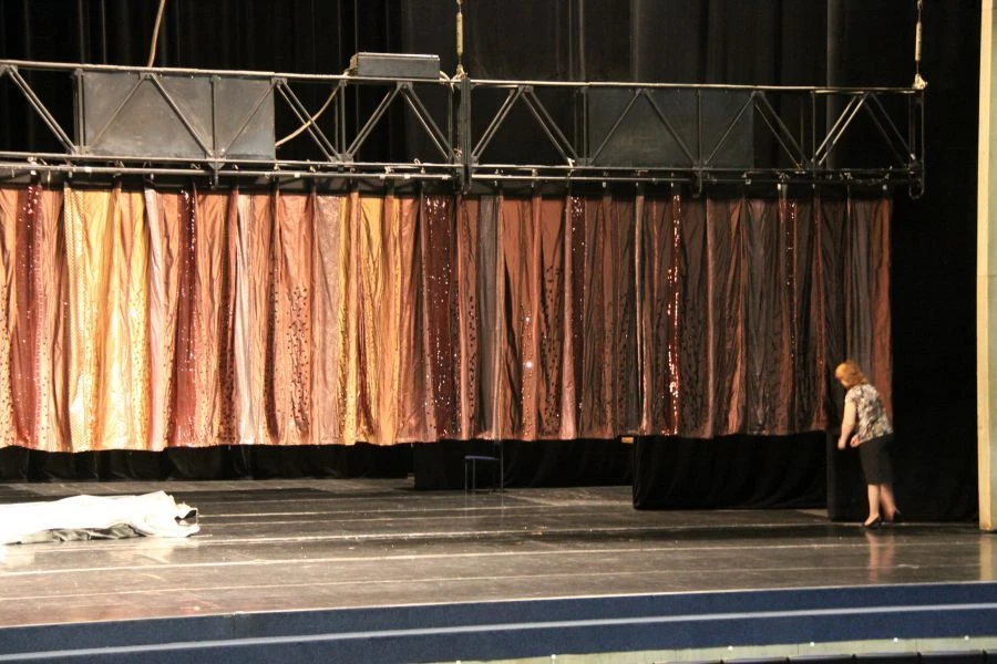 Textile goods TM VERA for decoration of a stage, an auditorium, interiors of premises: Stage clothes. Type harlequin pictorially
