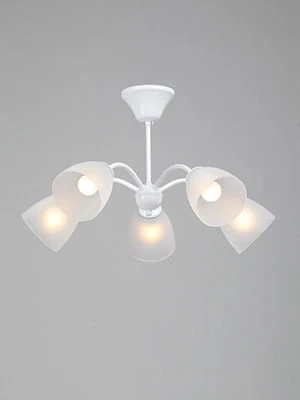 General purpose fixed luminaire V3929-0/5PL
