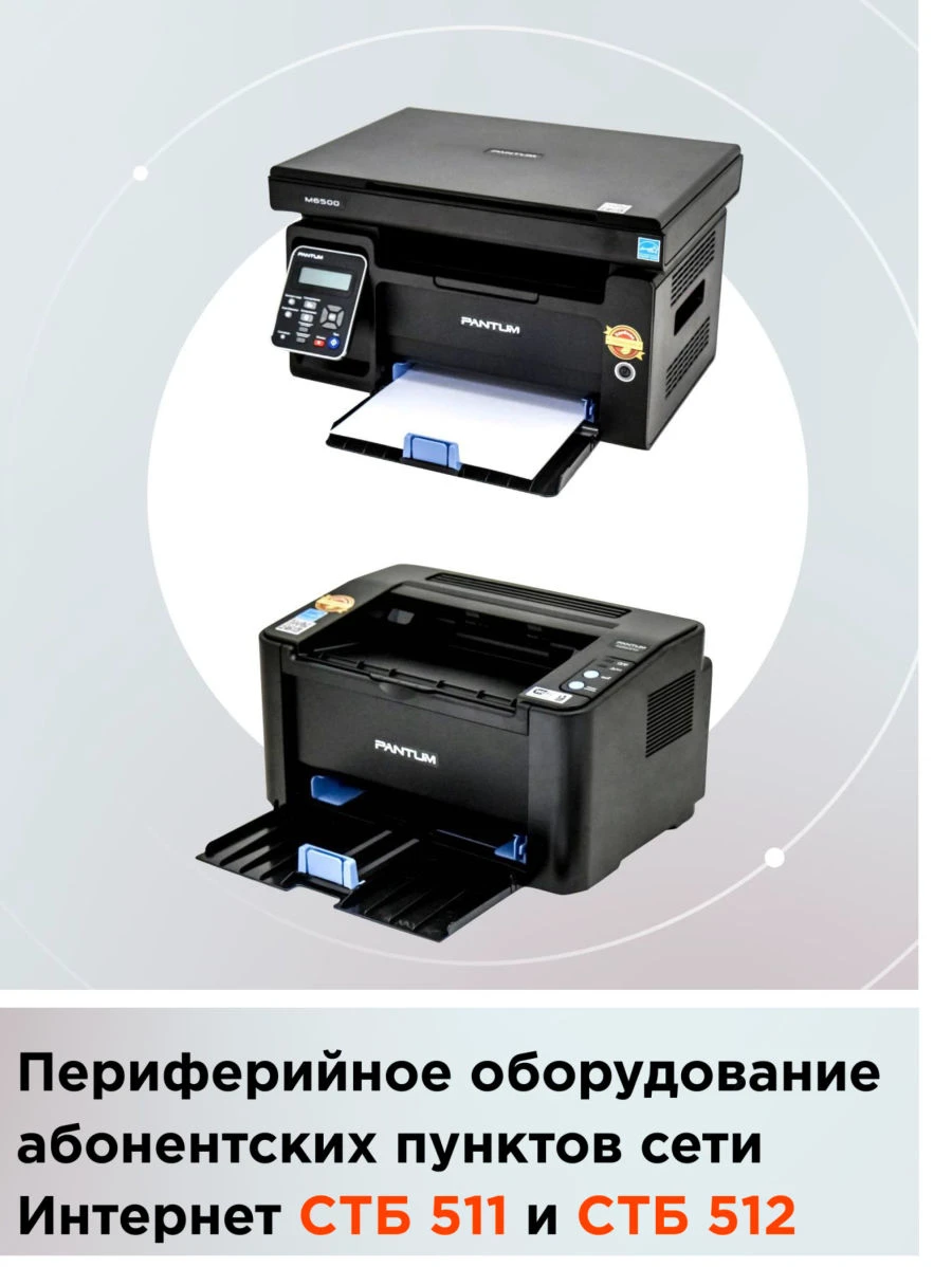 Peripheral equipment of Internet subscriber points (multifunctional device STB-511)