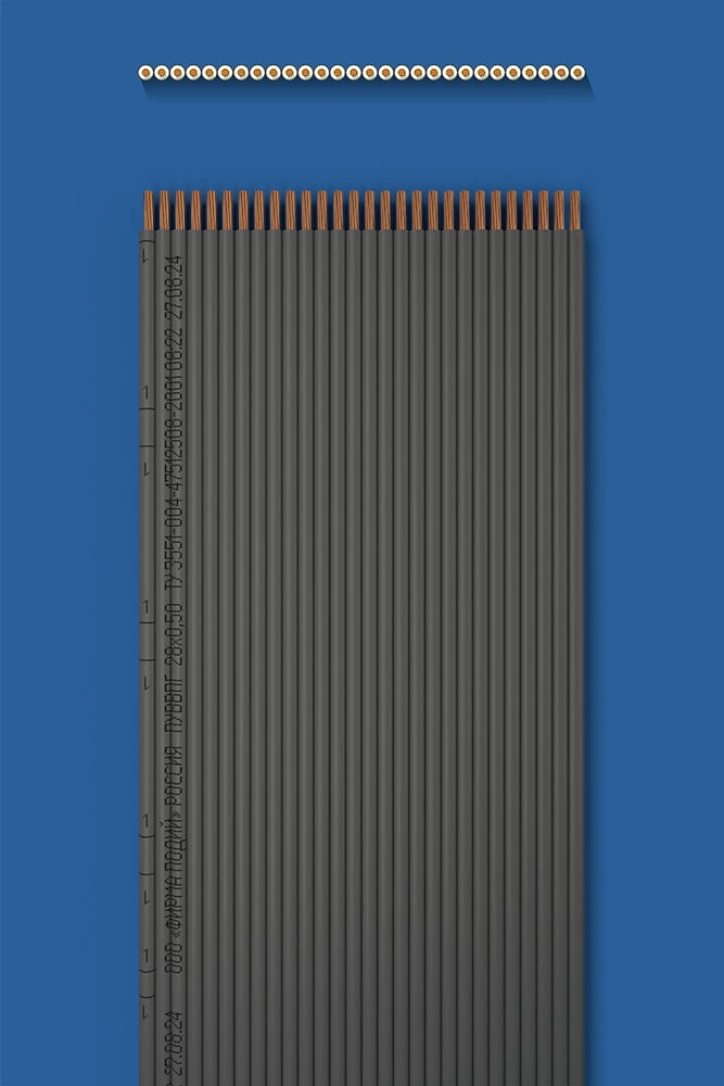Installation flat wire with two-layer (double) insulation PUUVVVPG 28õ0,50