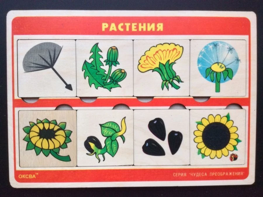 The game "Wonders of Transformations" (Plants)
