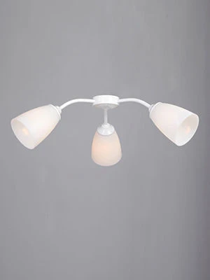 General purpose fixed luminaire V31870-0/3PL