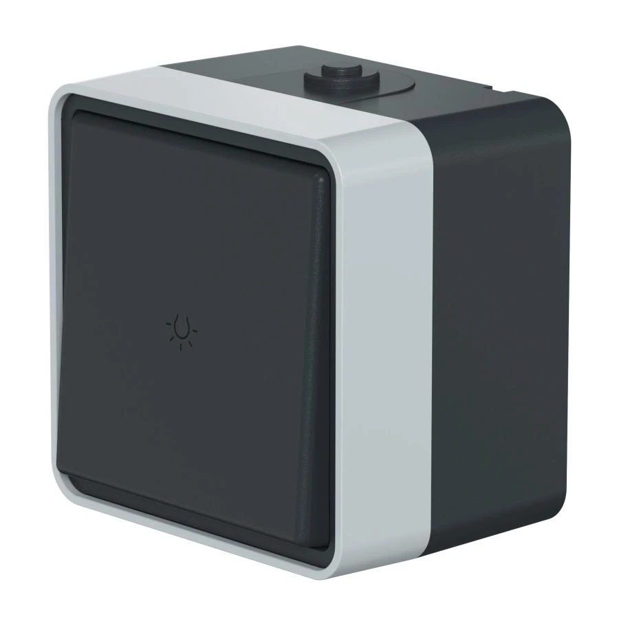 CADUCEUS ALING Protecta Single-lever switch for open wiring Light 10AX, 250V~, IP55, anthracite grey, art. 22505.A1