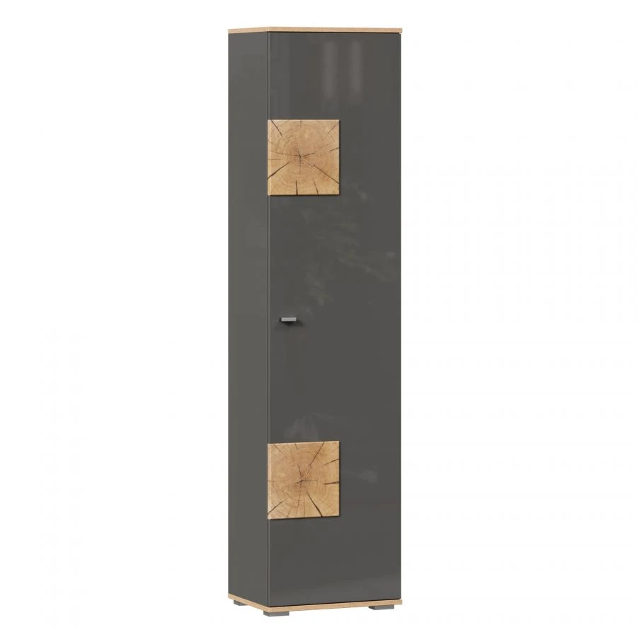 Fiji LD.659160.000 Single-leaf cupboard (Oak Gold/Antracite )