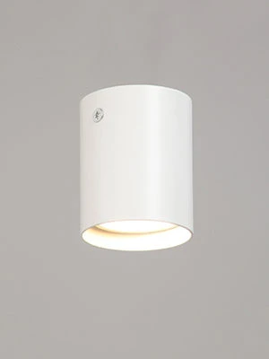 General purpose fixed luminaire V4639-0/1PL