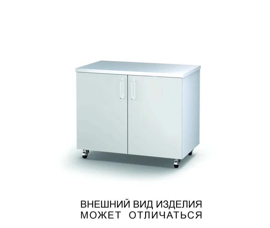 Swing cabinet with hinged doors
