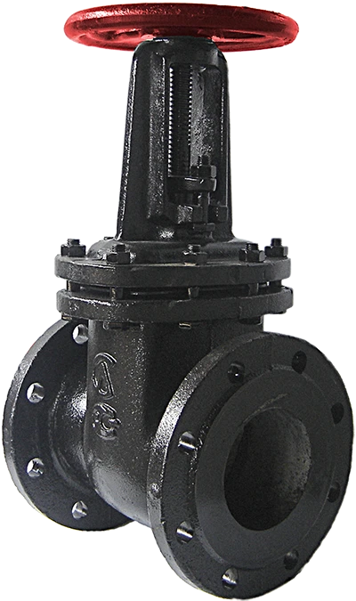 Parallel cast iron gate valve 30ch6bk