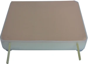 Haemostasis training model CS6213