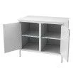 Medical laboratory cabinet mod.1, var.1 according to GIKS.942810.105 TU