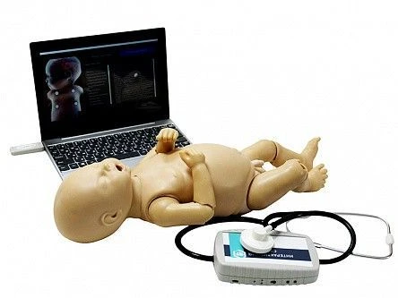Mannequin for auscultation of a newborn baby, Art.Z980N