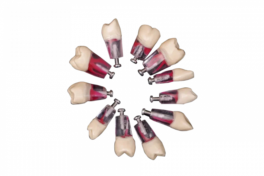 Set of endo-tooths for standard model, 28 pcs. PD-NEZ M28