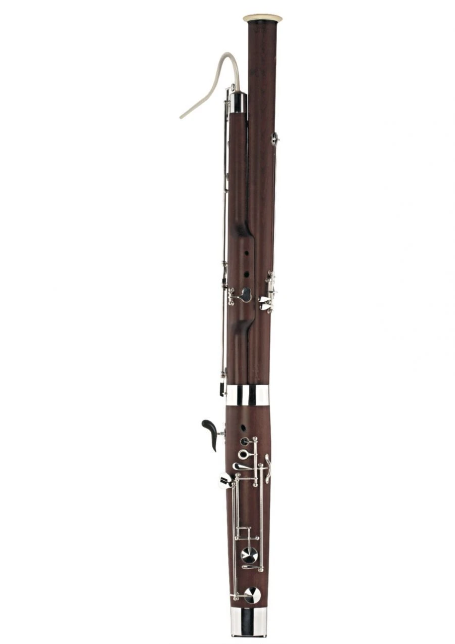 Bassoon Dotsenko & Co. DBN-301
