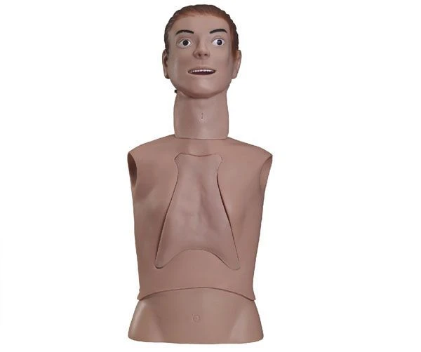 Tracheal intubation and nasogastric tube insertion training mannequin, art. no. 80