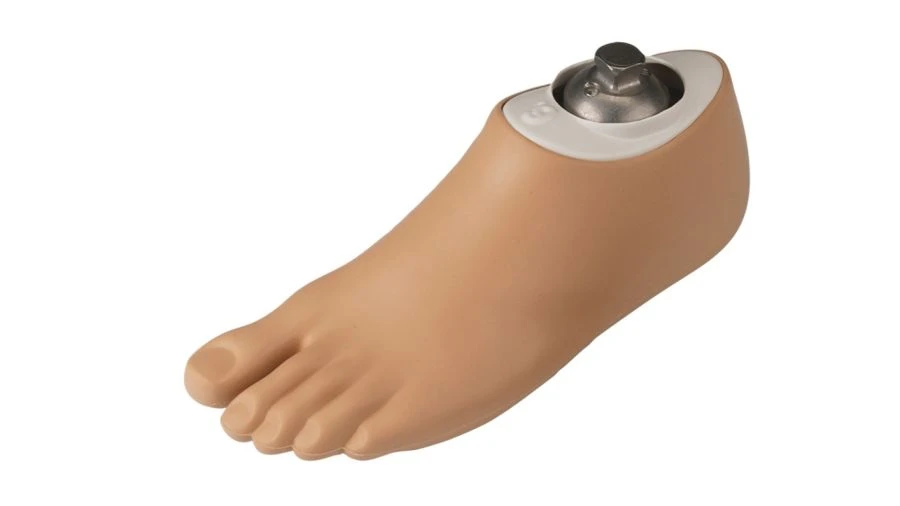 Foot prosthesis
