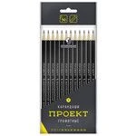 Graphite pencils "VKF" "Project" 12P-4010 Set of sharpened OPP lead pencils 8x12 pcs.