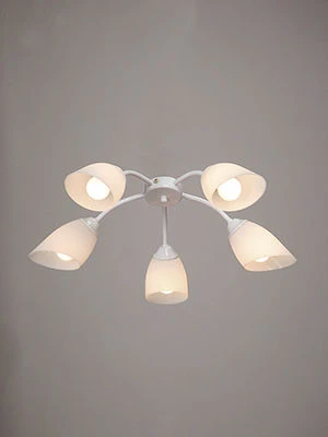 General purpose fixed luminaire V3194/5PL
