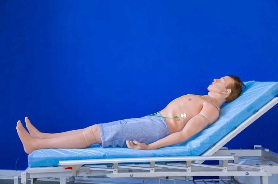 Adult Patient Simulator RP.V.HF