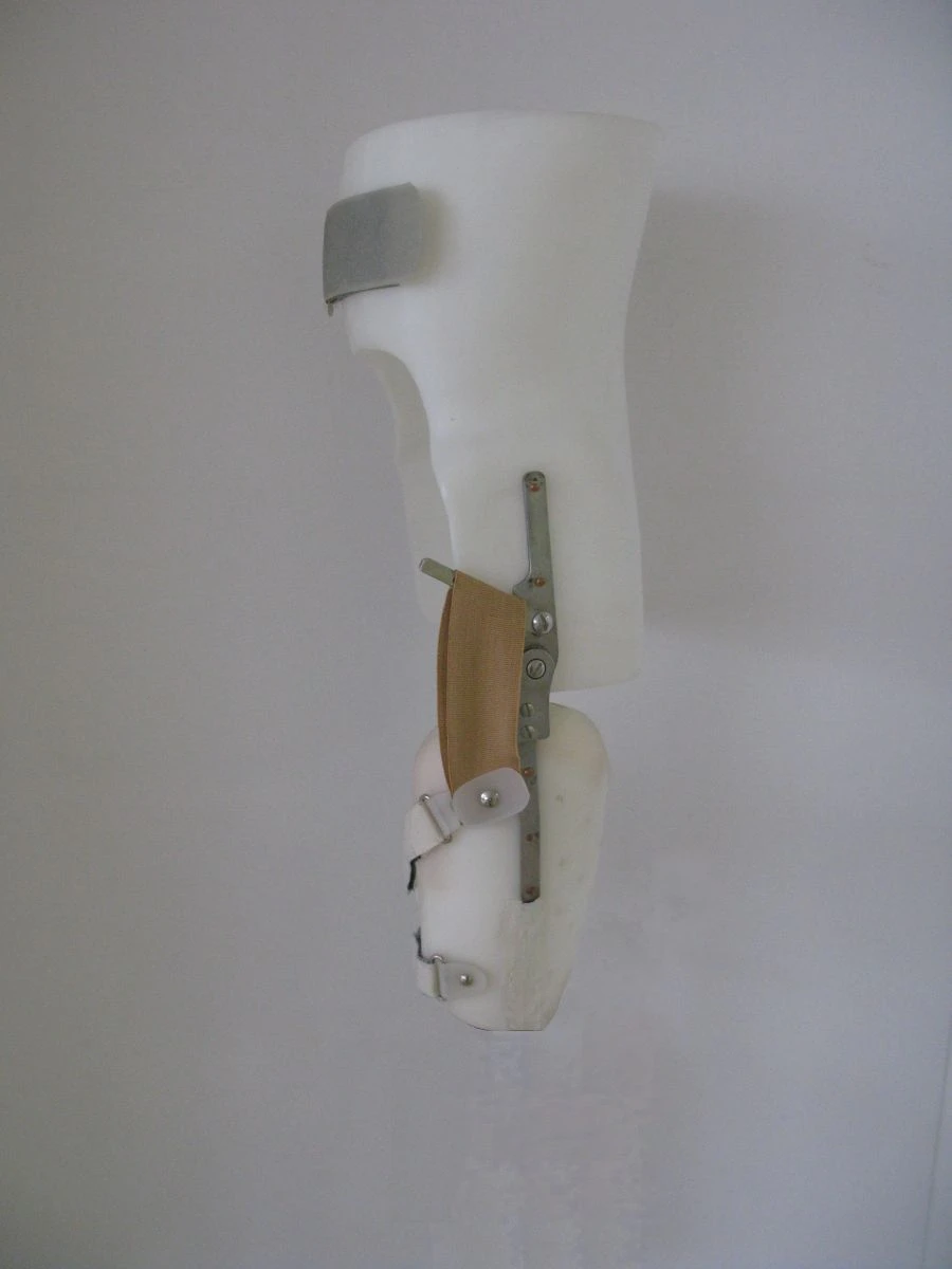 Hip apparatus