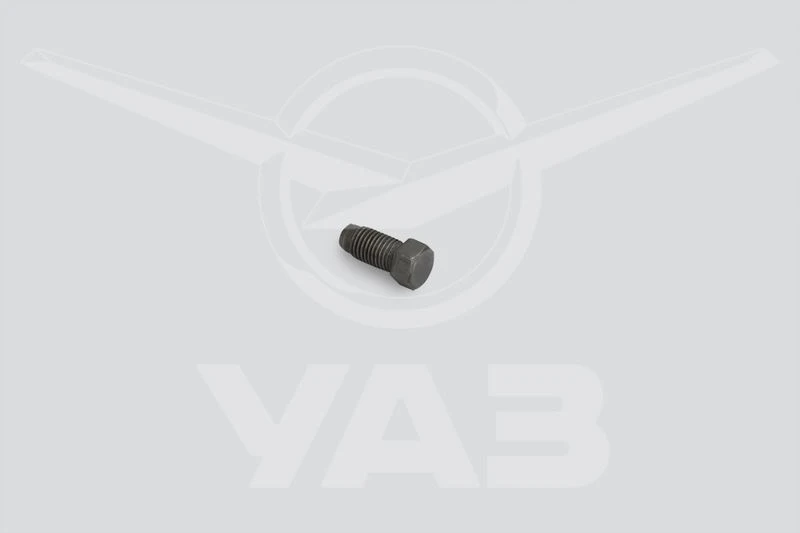 046900170211000 Shift locking screw