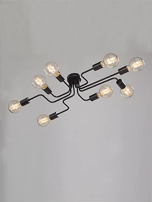 General purpose fixed luminaire V4196-1/8PL