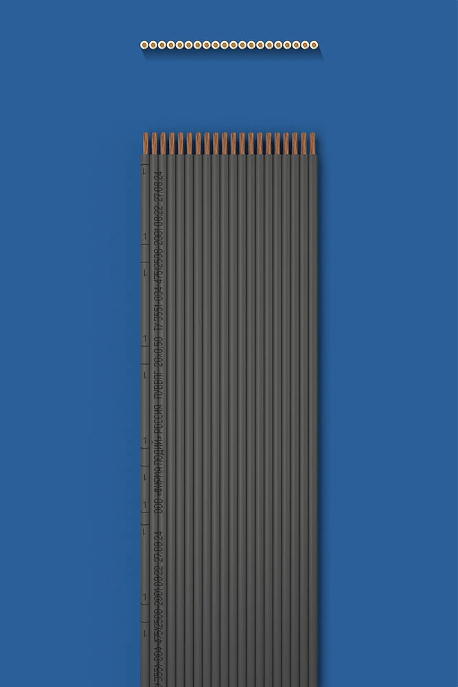 Installation flat wire with two-layer (double) insulation PUUVVVPG 20õ0,50