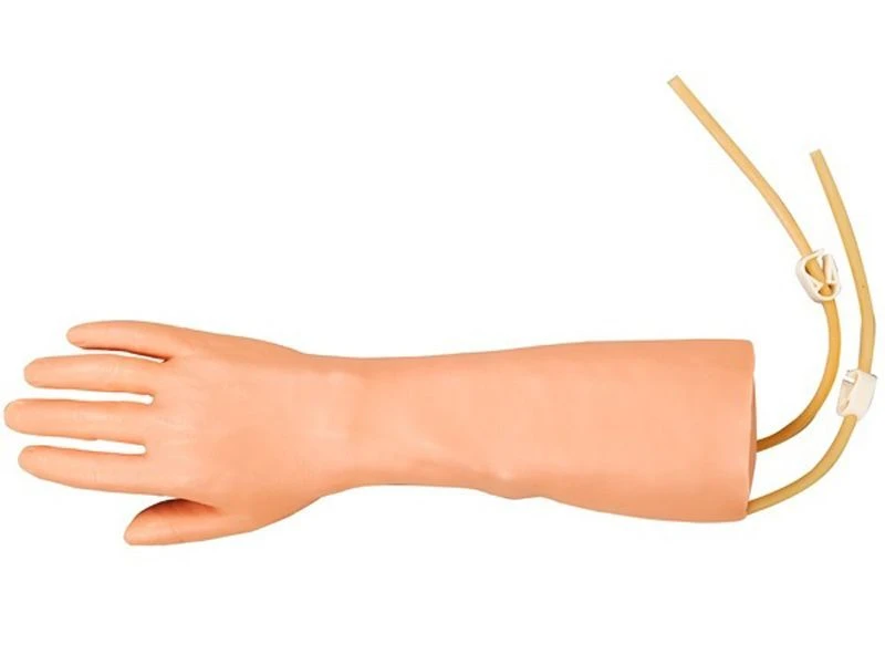 Hand and forearm model for injections, blood transfusion, S4A