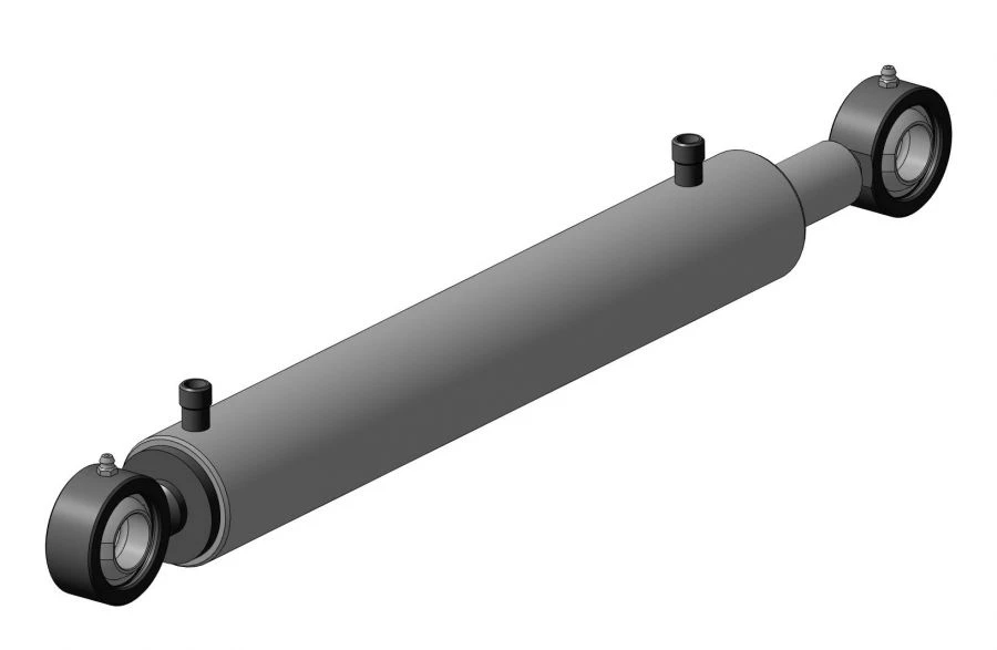 EDTsG 50.30.320.555 (EDTsG 50.30x320.000) Hydraulic cylinder