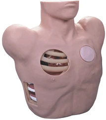 Mannequin for practising drainage of pleural cavity, art. no. L66