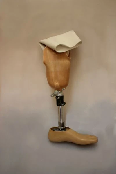 Modular tibia prosthesis, including underdevelopment PN3-87