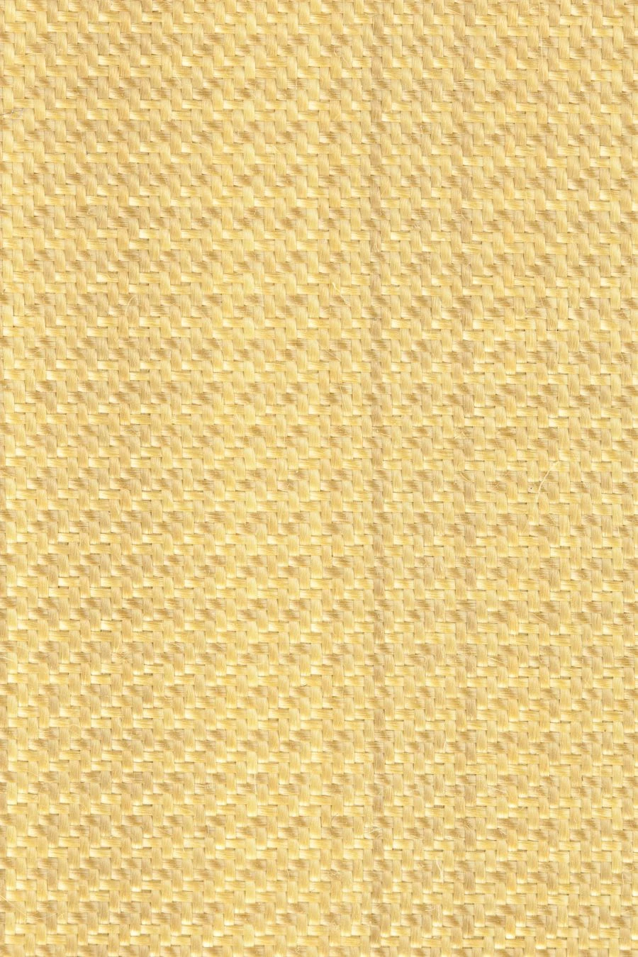 56313
