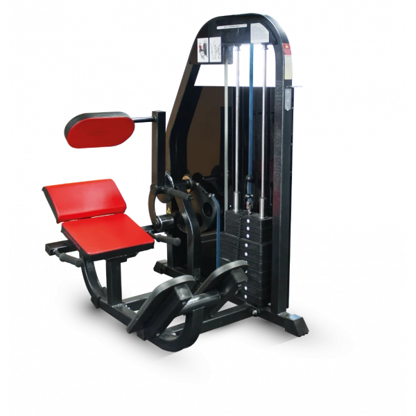 Back extensor machine (weight block)